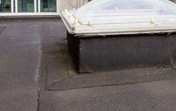disadvantages of Ceunant flat roofs